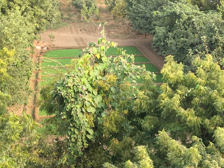 aerial view of workshop garden 1200
